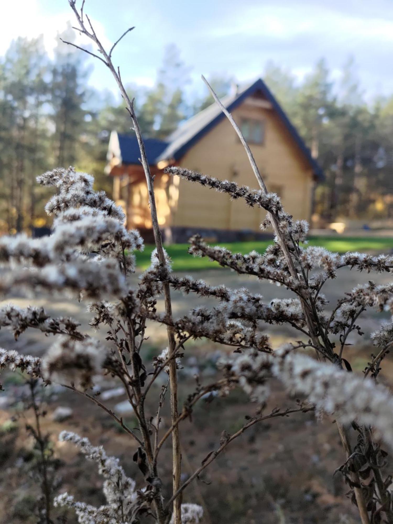 Mazurska Bania U Pana Szeptuna - Drewniany Dom Na Skraju Lasu Lidzbark Welski Esterno foto